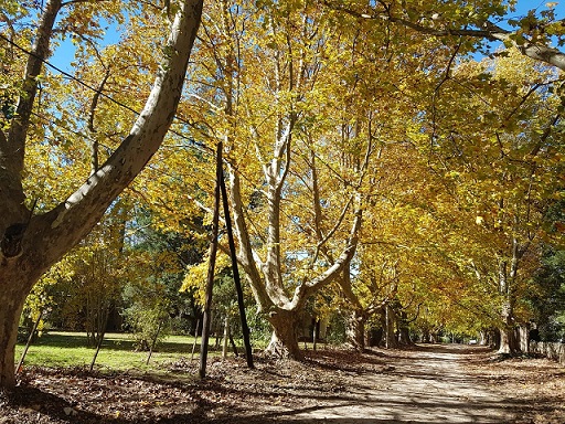 paisaje para web.jpg